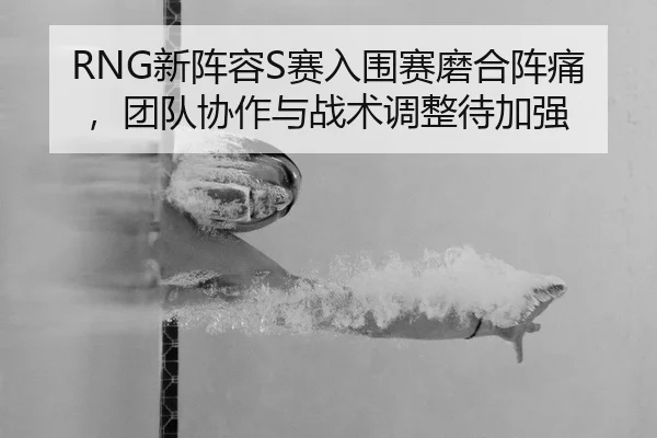 RNG新阵容S赛入围赛磨合阵痛，团队协作与战术调整待加强
